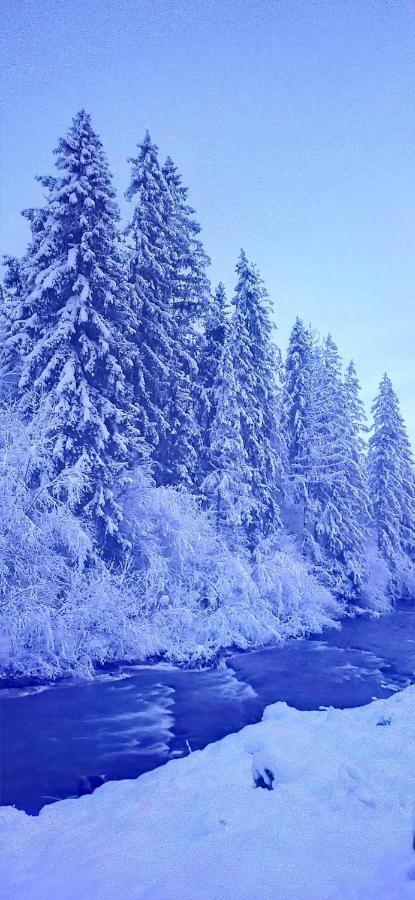 Родинна Оселя Slavske Exteriör bild